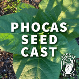 Podcast thumbnail for Phocas Seed Cast