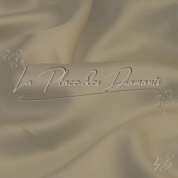 Podcast thumbnail for LA PLACE DES DIAMANTS