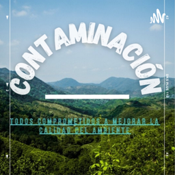 Podcast thumbnail for Contaminación Del Ambiente (Aire)