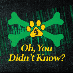 Podcast thumbnail for Oh...You Didn't Know with Road Dogg Brian James and Casio Kid