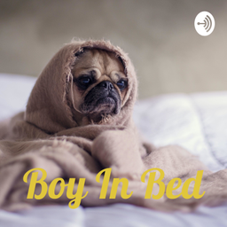 Podcast thumbnail for Boy In Bed