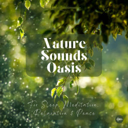 Podcast thumbnail for Nature Sounds Oasis | Relaxing Nature Sounds For Sleep, Meditation, Relaxation Or Focus | Sounds Of Nature | Sleep Sounds, Sleep Music, Meditation Sounds, Ocean Waves, Rain, White Noise & More