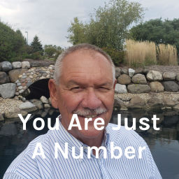 Podcast thumbnail for You Are Just A Number