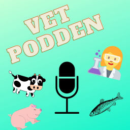 Podcast thumbnail for VETpodden