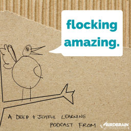 Podcast thumbnail for Flocking Amazing