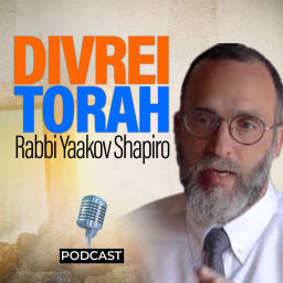 Podcast thumbnail for Divrei Torah
