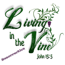 Podcast thumbnail for Living in the Vine