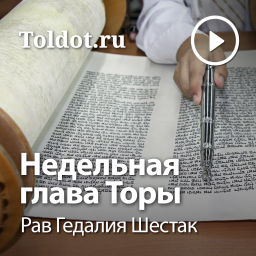 Podcast thumbnail for Рав Гедалия Шестак  — Недельная глава Торы