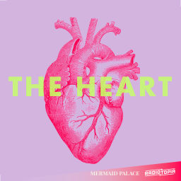 Podcast thumbnail for The Heart