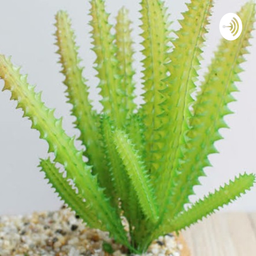 Podcast thumbnail for Live_Up