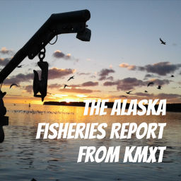 Podcast thumbnail for The Alaska Fisheries Report from KMXT