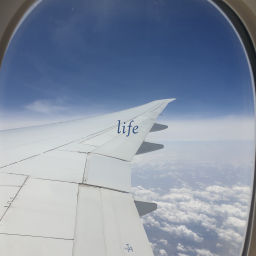 Podcast thumbnail for Life