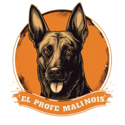 Podcast thumbnail for El Profe Malinois | Adiestramiento canino
