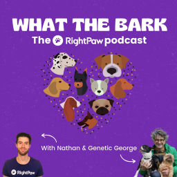 Podcast thumbnail for What The Bark - The RightPaw Podcast