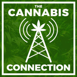Podcast thumbnail for The Cannabis Connection