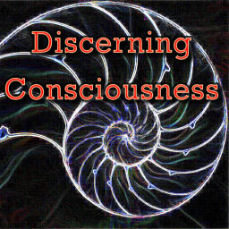 Podcast thumbnail for Discerning Consciousness' Podcast
