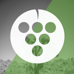 Podcast thumbnail for Desert Vineyard Church