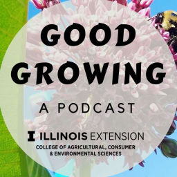 Podcast thumbnail for Good Growing