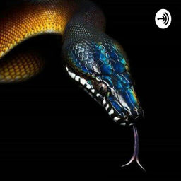 Podcast thumbnail for Lo Bueno
