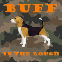 Podcast thumbnail for Buff in the Rough
