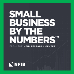 Podcast thumbnail for Small Business By The Numbers