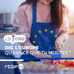 Podcast thumbnail for Dis, l'Europe, qu'est-ce que tu mijotes ?