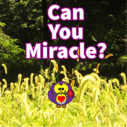 Podcast thumbnail for Can You Miracle?