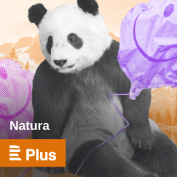 Podcast thumbnail for Natura