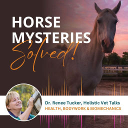 Podcast thumbnail for Horse Mysteries Solved!