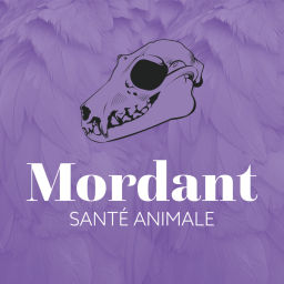 Podcast thumbnail for MORDANT