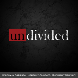 Podcast thumbnail for Undivided
