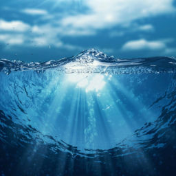 Podcast thumbnail for Aquariuswater444