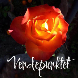 Podcast thumbnail for VENDEPUNKTET