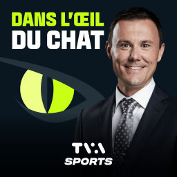Podcast thumbnail for Dans l’oeil du chat