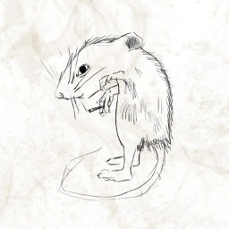 Podcast thumbnail for Mouse out of Wedlock
