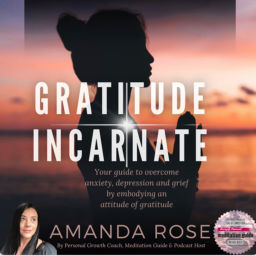 Podcast thumbnail for Gratitude Incarnate