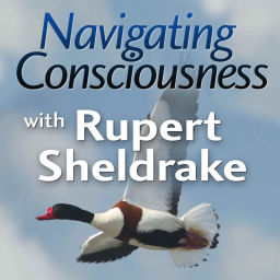 Podcast thumbnail for Navigating Consciousness with Rupert Sheldrake