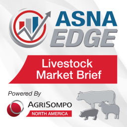 Podcast thumbnail for Livestock Market Brief by ASNA Edge