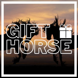 Podcast thumbnail for Gift Horse