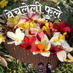 Podcast thumbnail for Vechleli Phule | वेचलेली फुले - Marathi Podcast