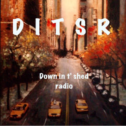 Podcast thumbnail for DITSR