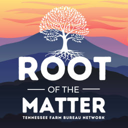Podcast thumbnail for Root of the Matter