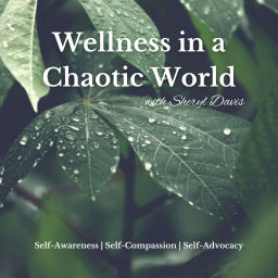 Podcast thumbnail for Wellness in a Chaotic World