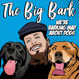 Podcast thumbnail for The Big Bark Dog podcast