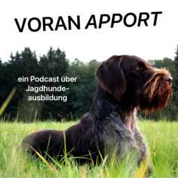 Podcast thumbnail for VORAN APPORT - ein Podcast über Jagdhundeausbildung