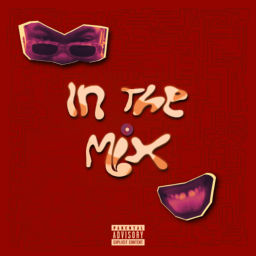 Podcast thumbnail for In The Mix