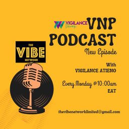 Podcast thumbnail for VNP Podcast