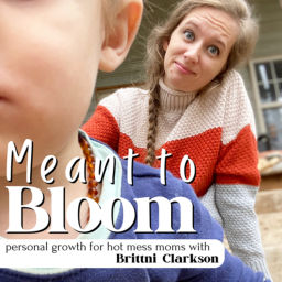 Podcast thumbnail for Meant to Bloom: personal growth for hot mess moms