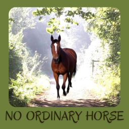 Podcast thumbnail for No Ordinary Horse