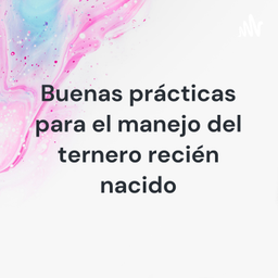 Podcast thumbnail for Buenas prácticas para el manejo del ternero recién nacido